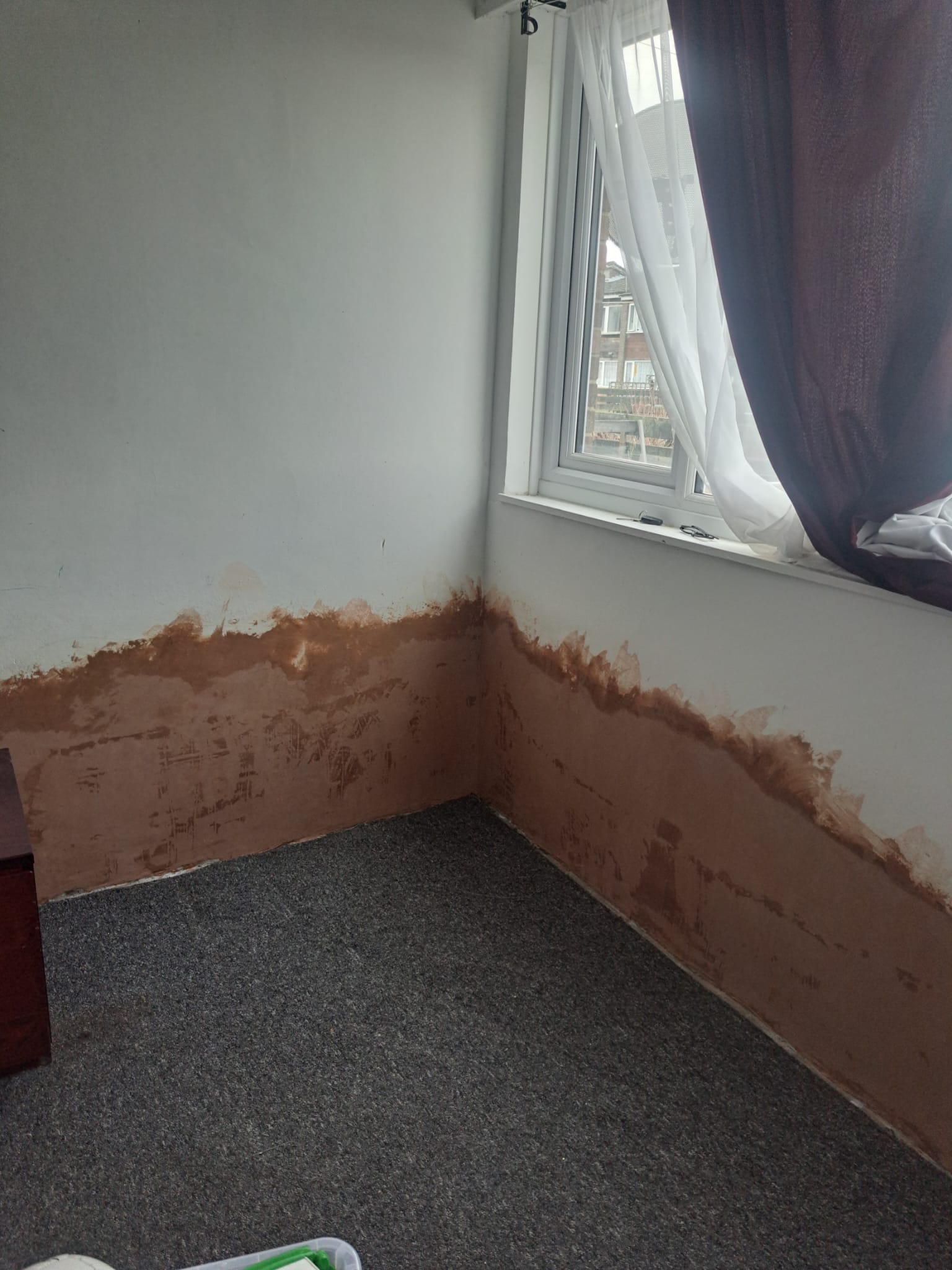 Carpeted room with a tide line of damp staining visible along the walls